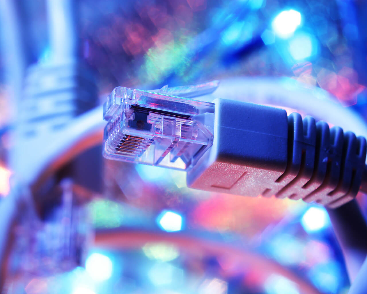 Network Support Specialists