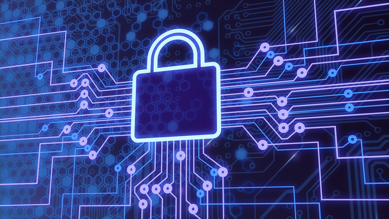 Network Support Services